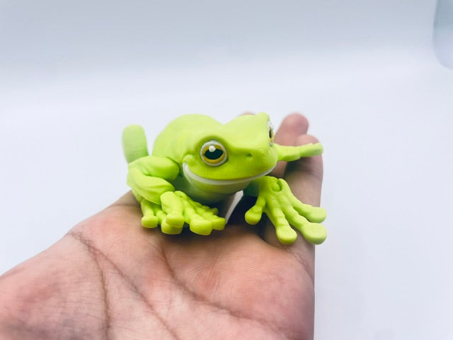 Cute White's Tree Frog