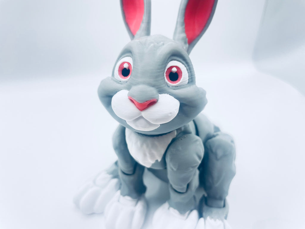 Cute Rabbit