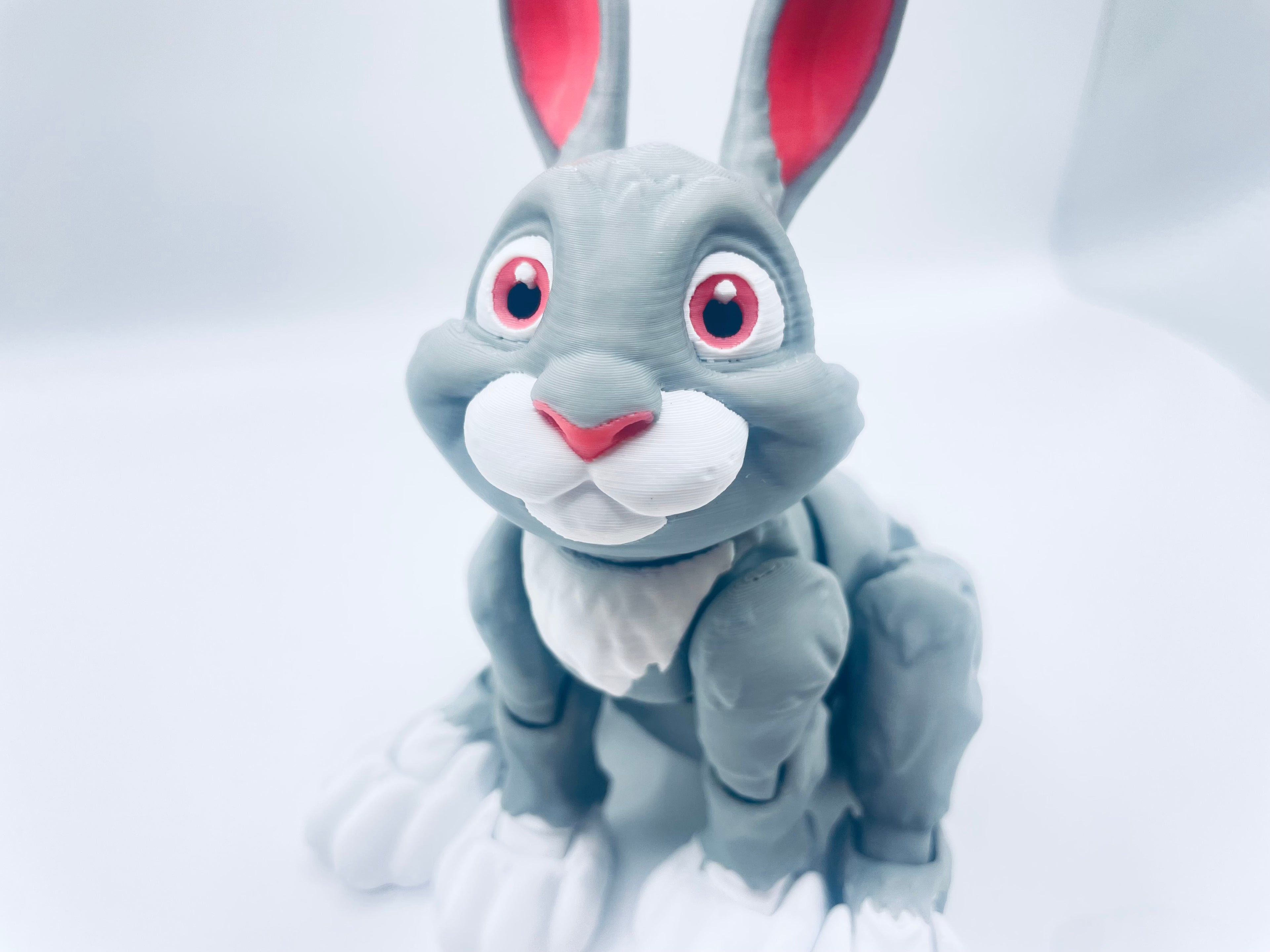 Cute Rabbit