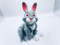 Cute Rabbit
