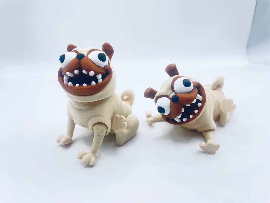 Goofy Looking Pugs!