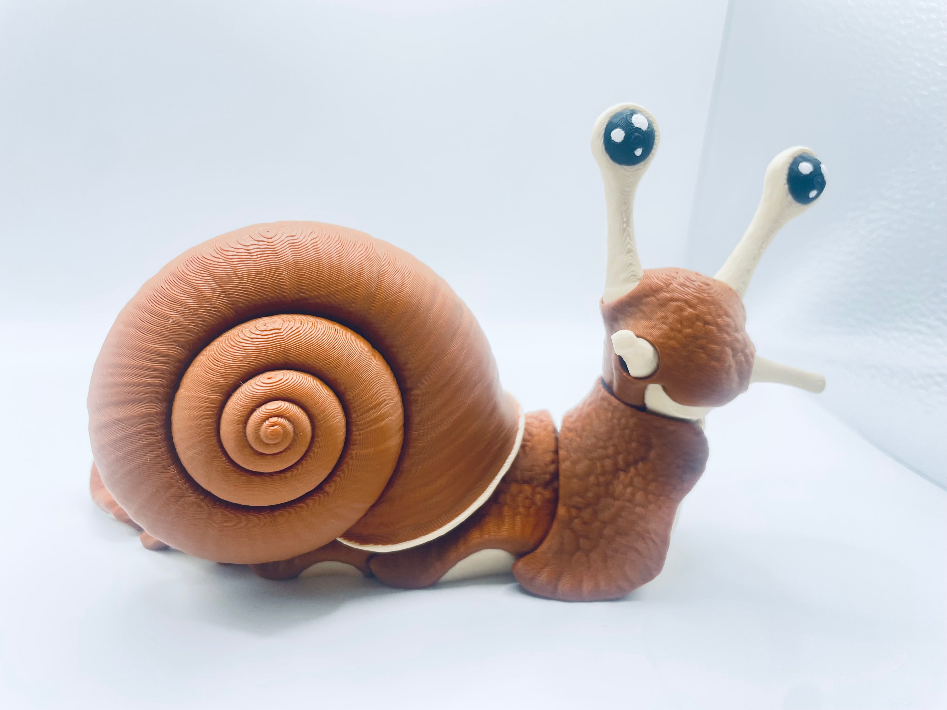 Cute Giant Snail