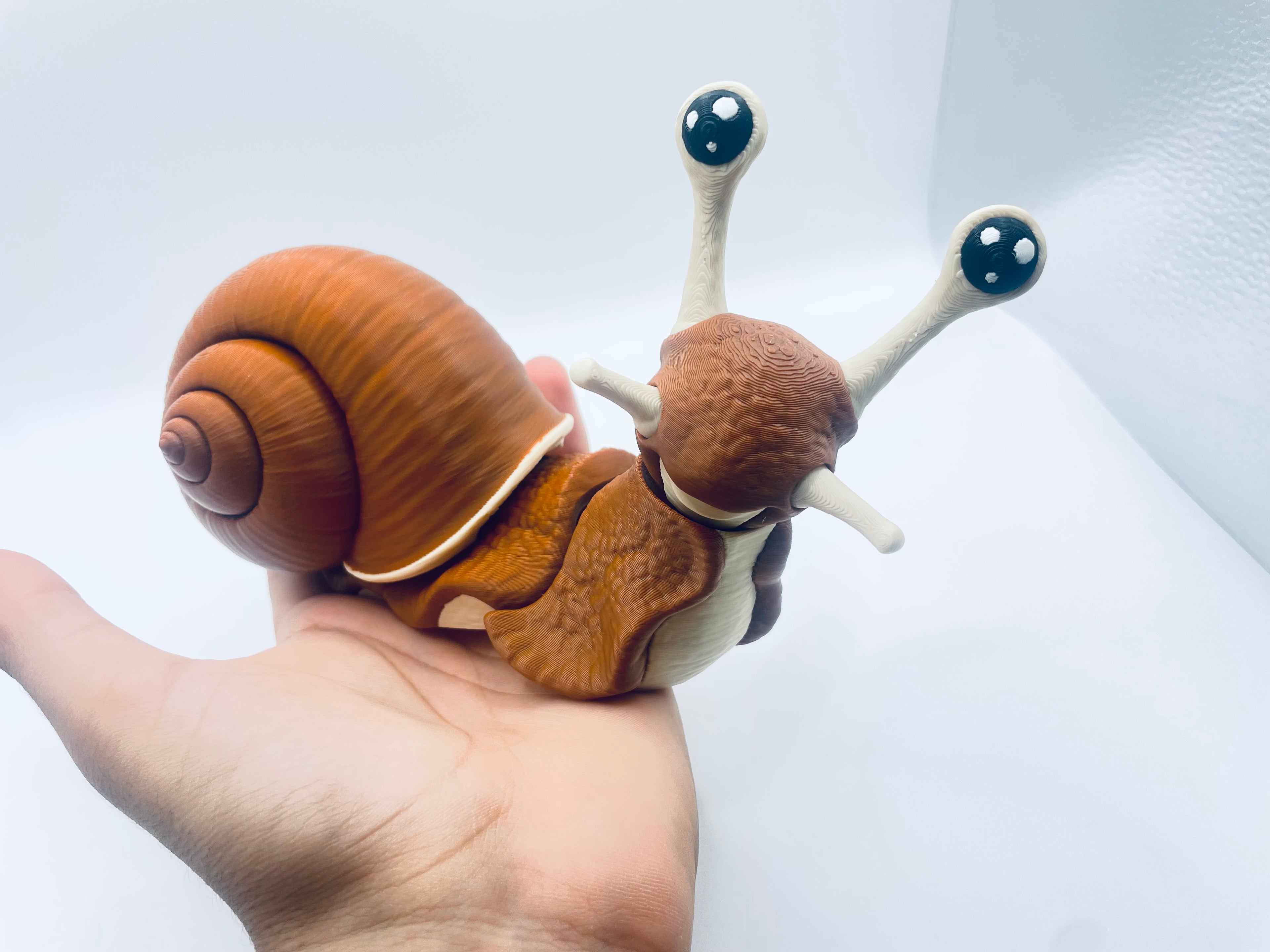 Cute Giant Snail