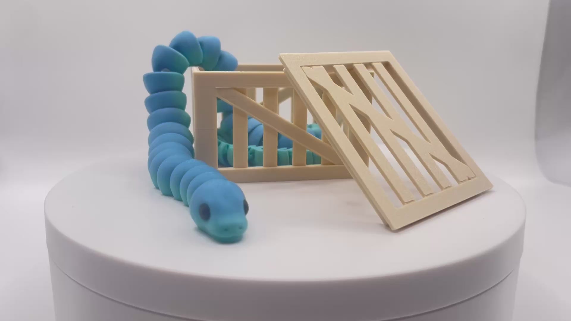 Snake in a crate