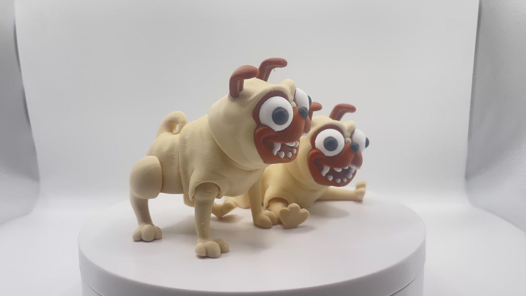 Goofy Looking Pugs!