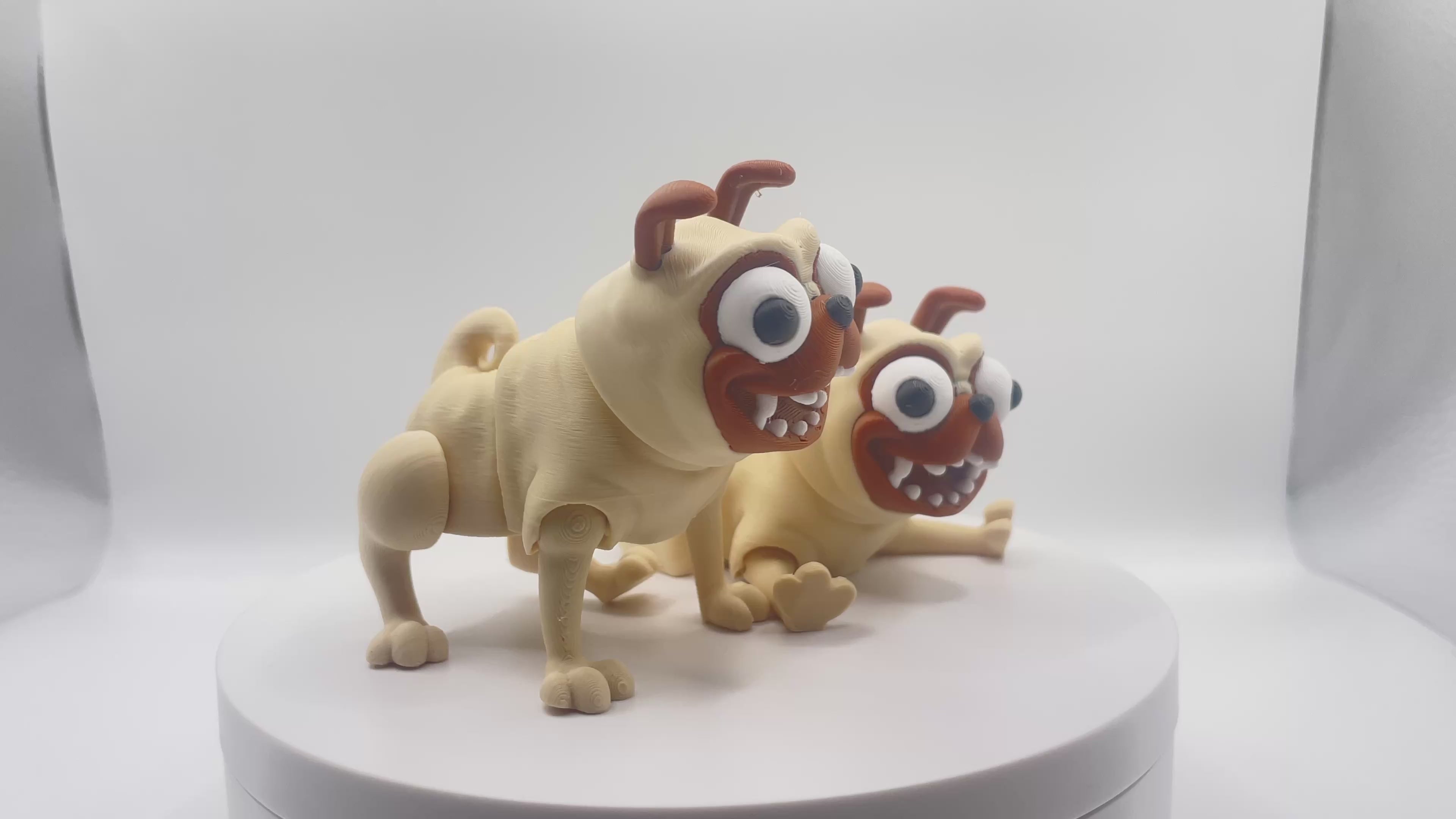 Goofy Looking Pugs!