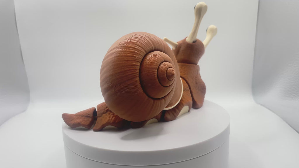 Cute Giant Snail