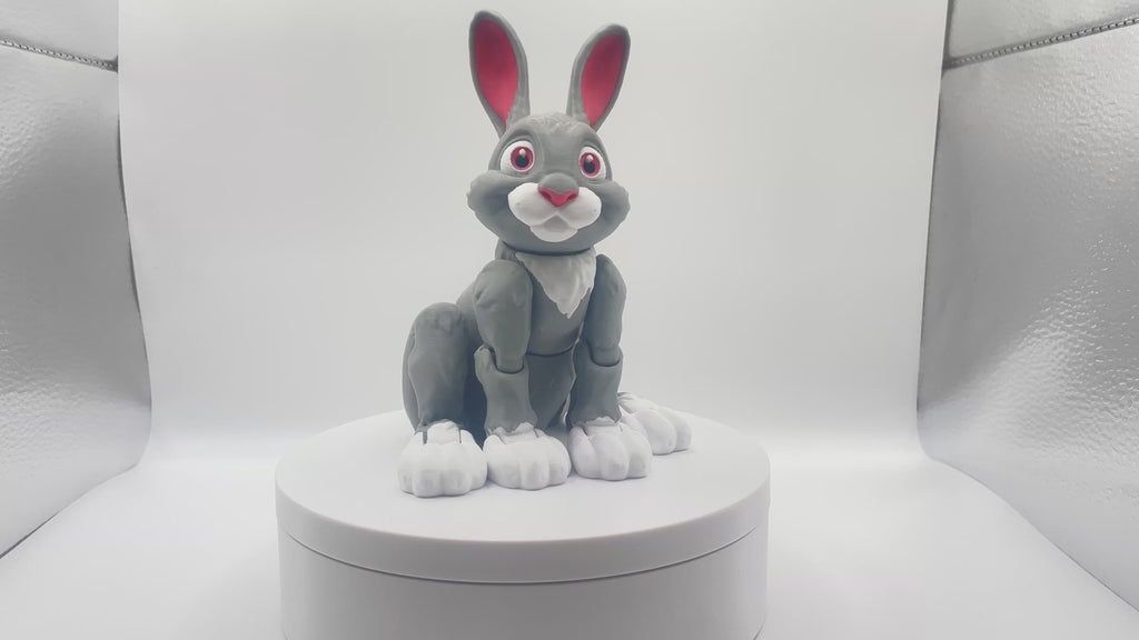Cute Rabbit