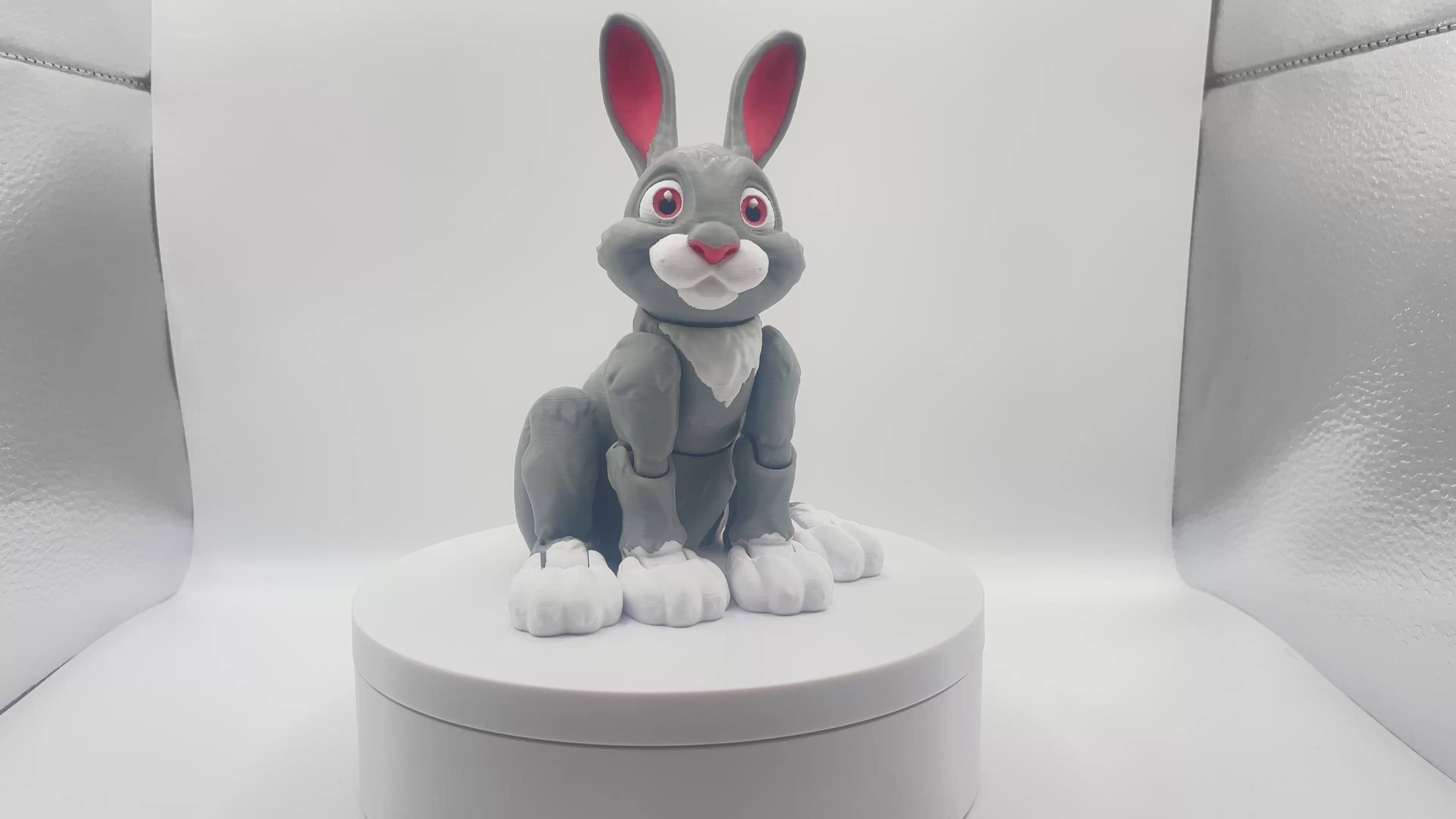 Cute Rabbit